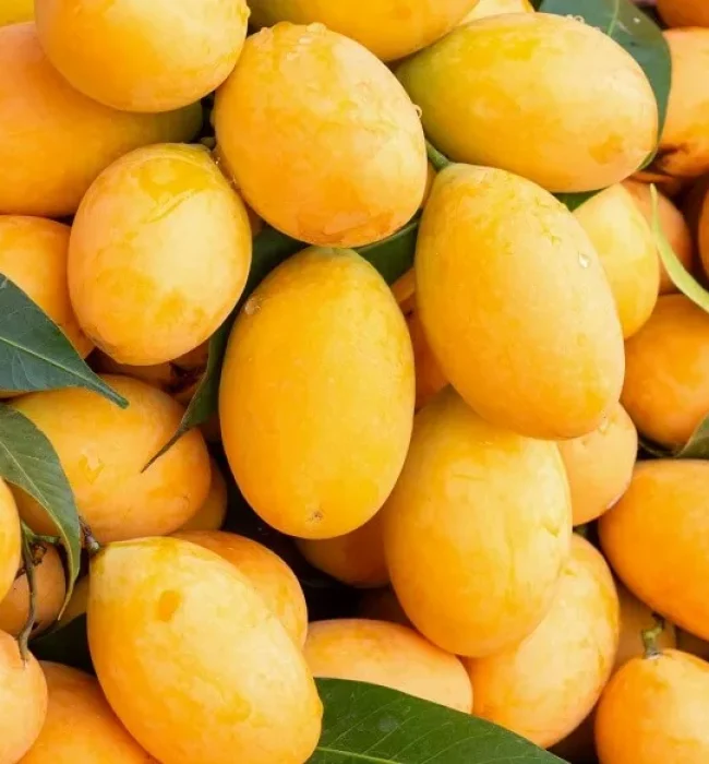 nutritional-value-of-mangoes-jpg